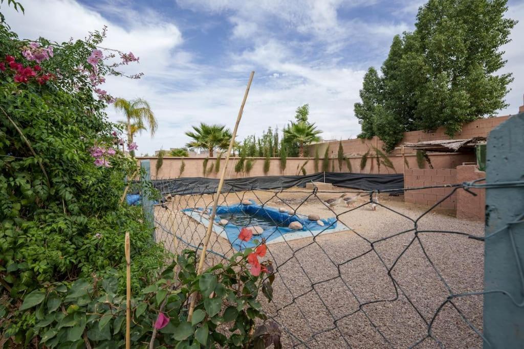 Mileden,ferme Bio, Pingpong,piscine Chauffee