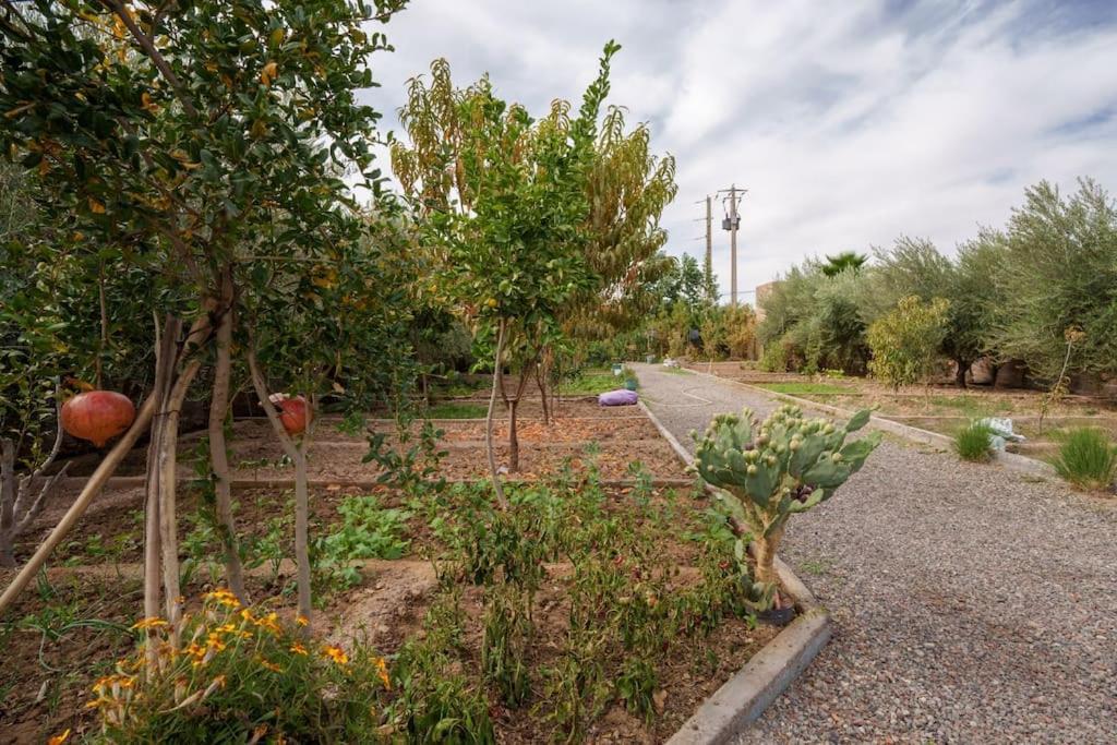Mileden,ferme Bio, Pingpong,piscine Chauffee * Marrakesh