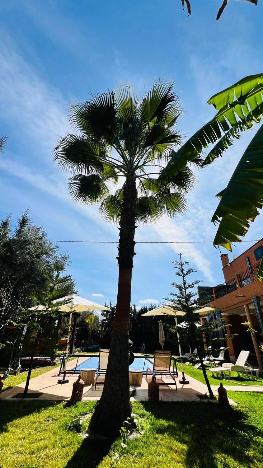 Ilafe Farmhouse, Avec Piscine Chauffee Privee Et Jacuzzi Pour Familles Villa