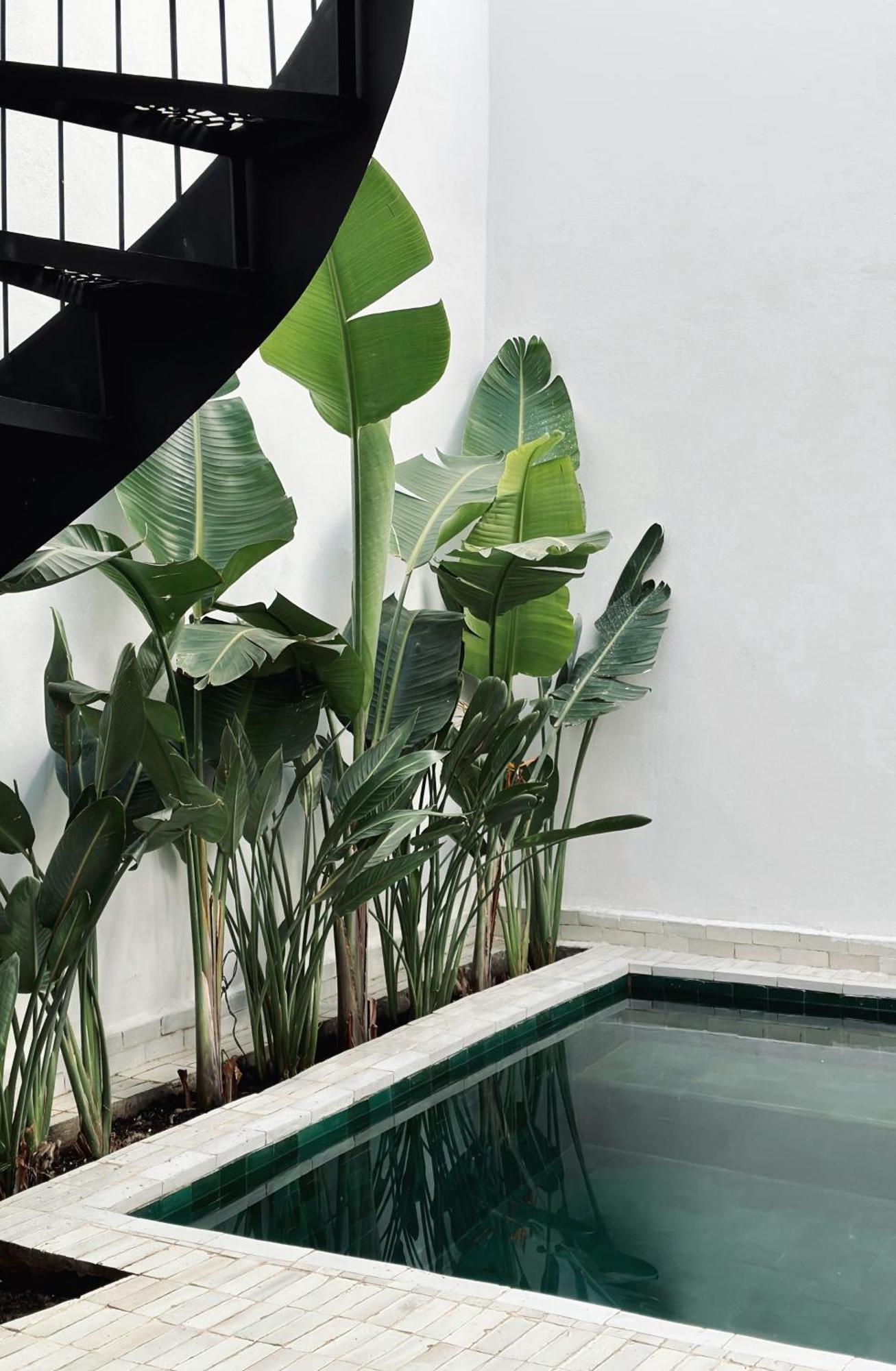 Holiday home De L'o / Serene Designer Oasis ~ Pool ~ Rooftop *