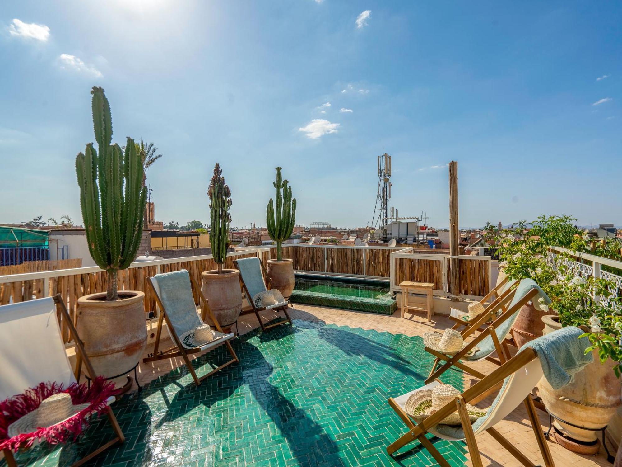 Nelia Marrakech, Collection