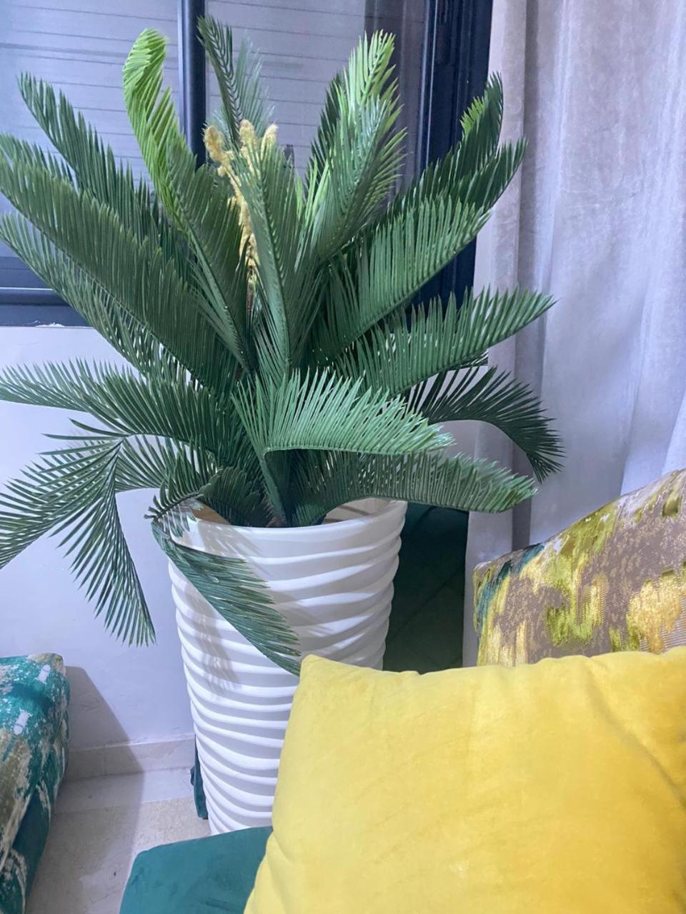 Apartment Cosy & Magnifique Marrakech Marrakesh