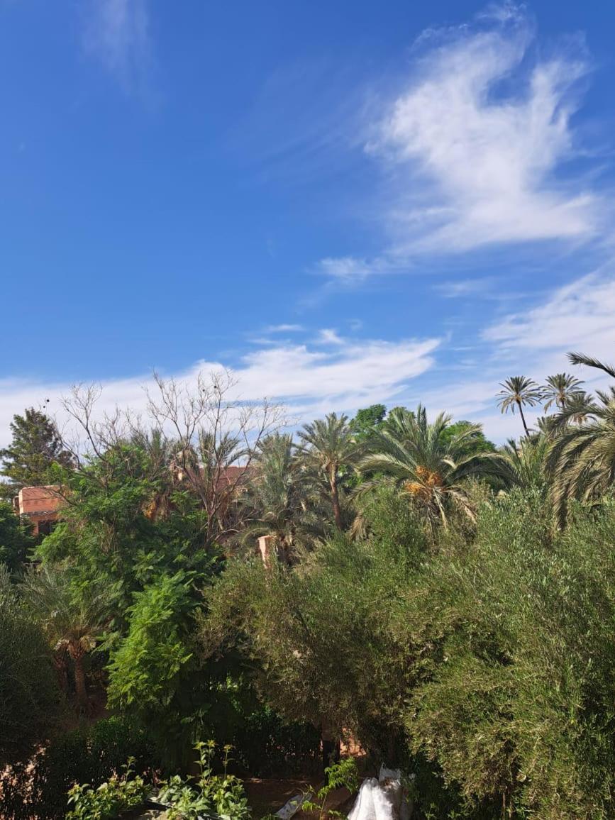 Les Jardins De La Palmeraie Apartment Marrakesh