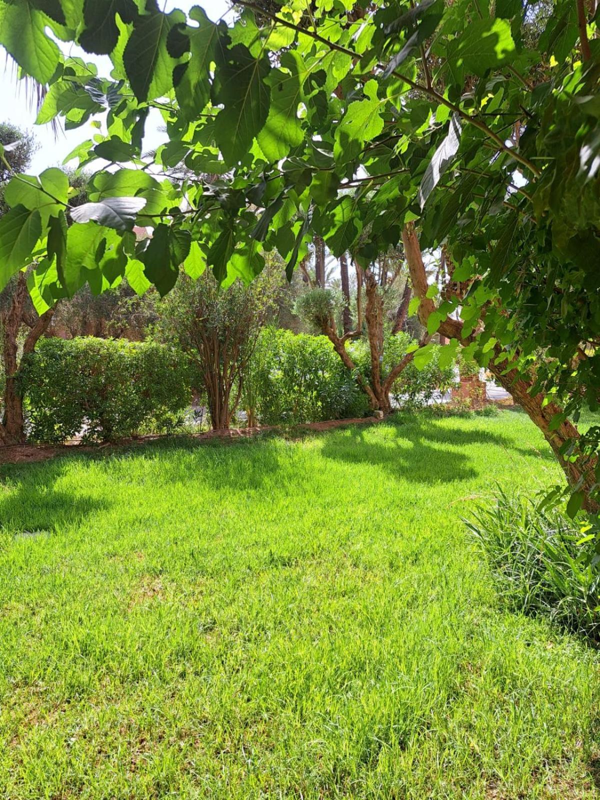 Les Jardins De La Palmeraie *