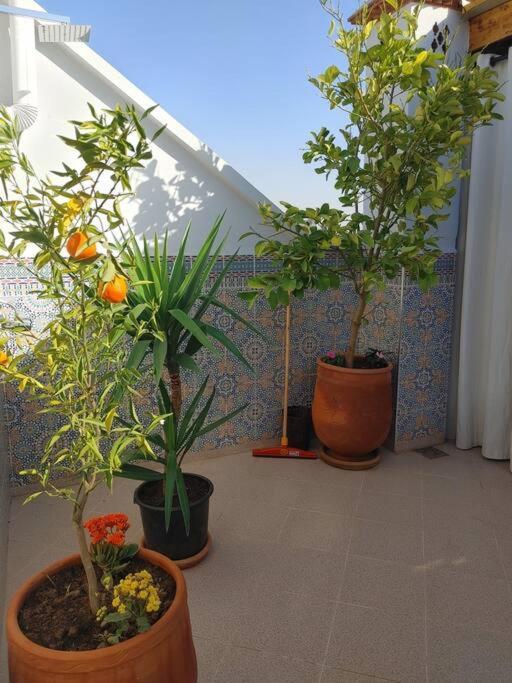 Holiday home Dar Amane - Charmante Maison Marocaine