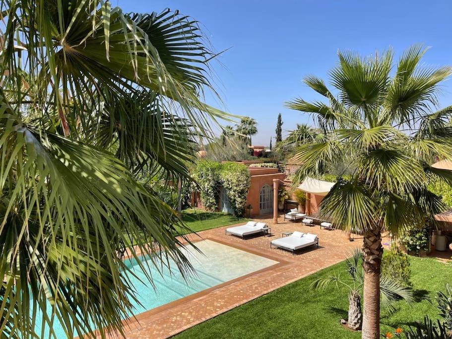 Ava * Marrakesh