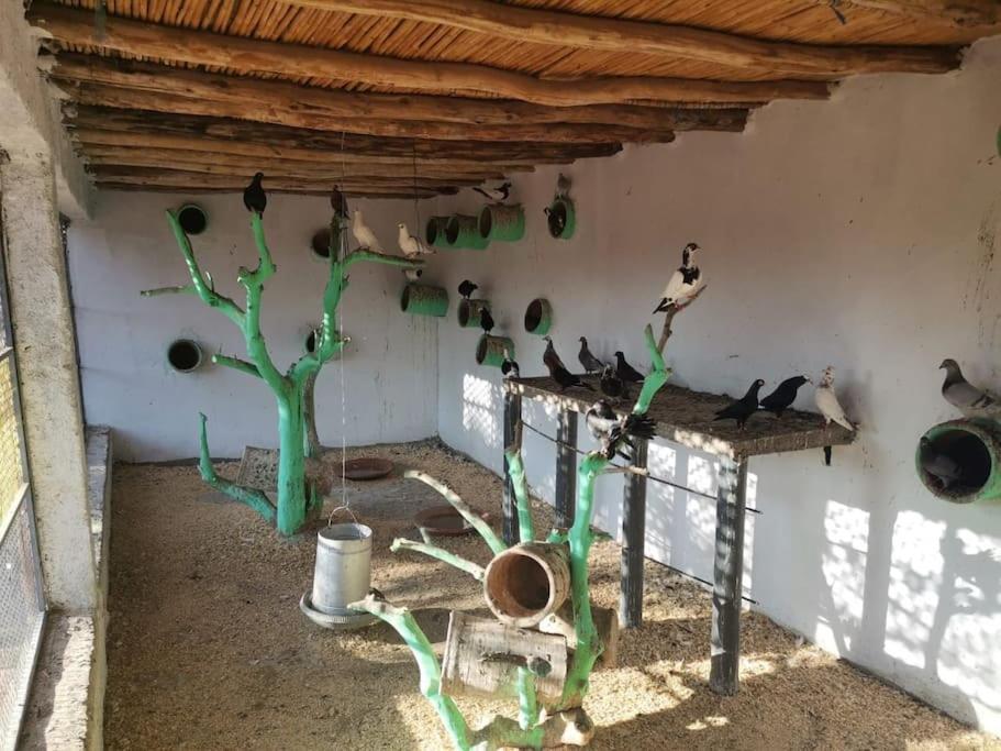 Villa Marrakech Luxury Farm *