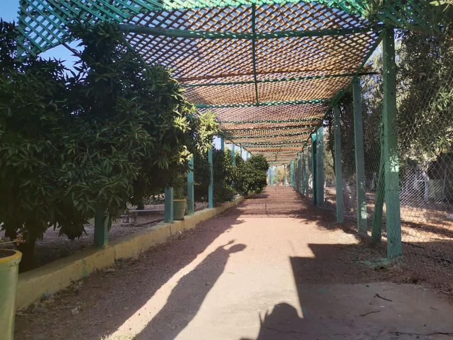 Marrakech Luxury Farm *