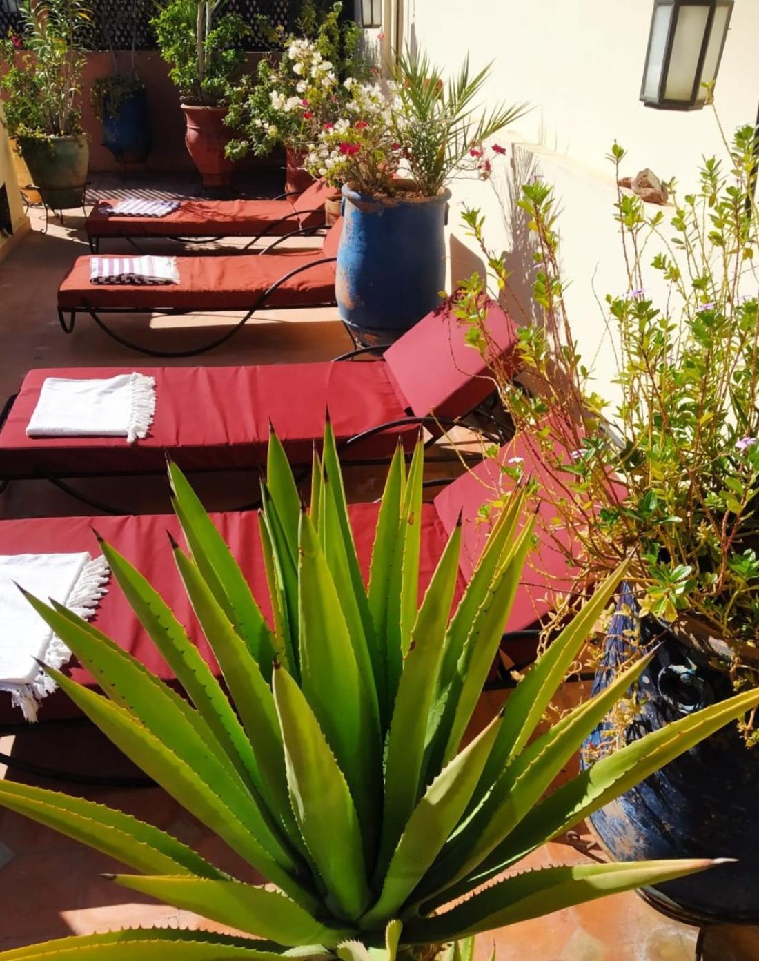 Riad Dar Zampa Marrakesh