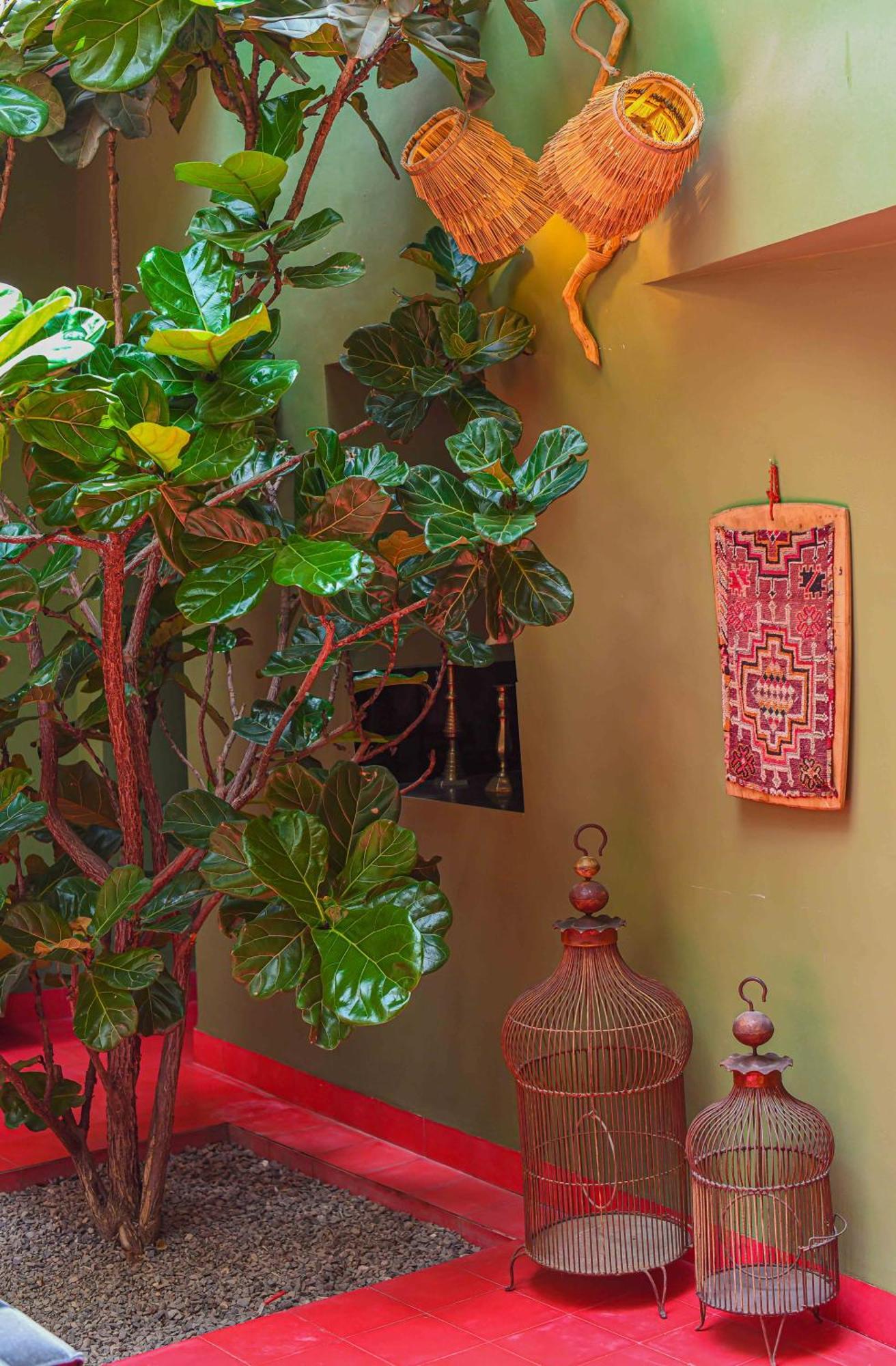Riad Olive Privatif 4 Personnes * Marraquexe