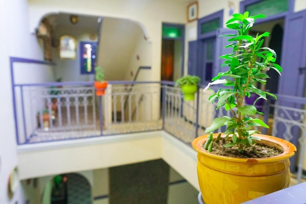 Riad Riad Winarouze House