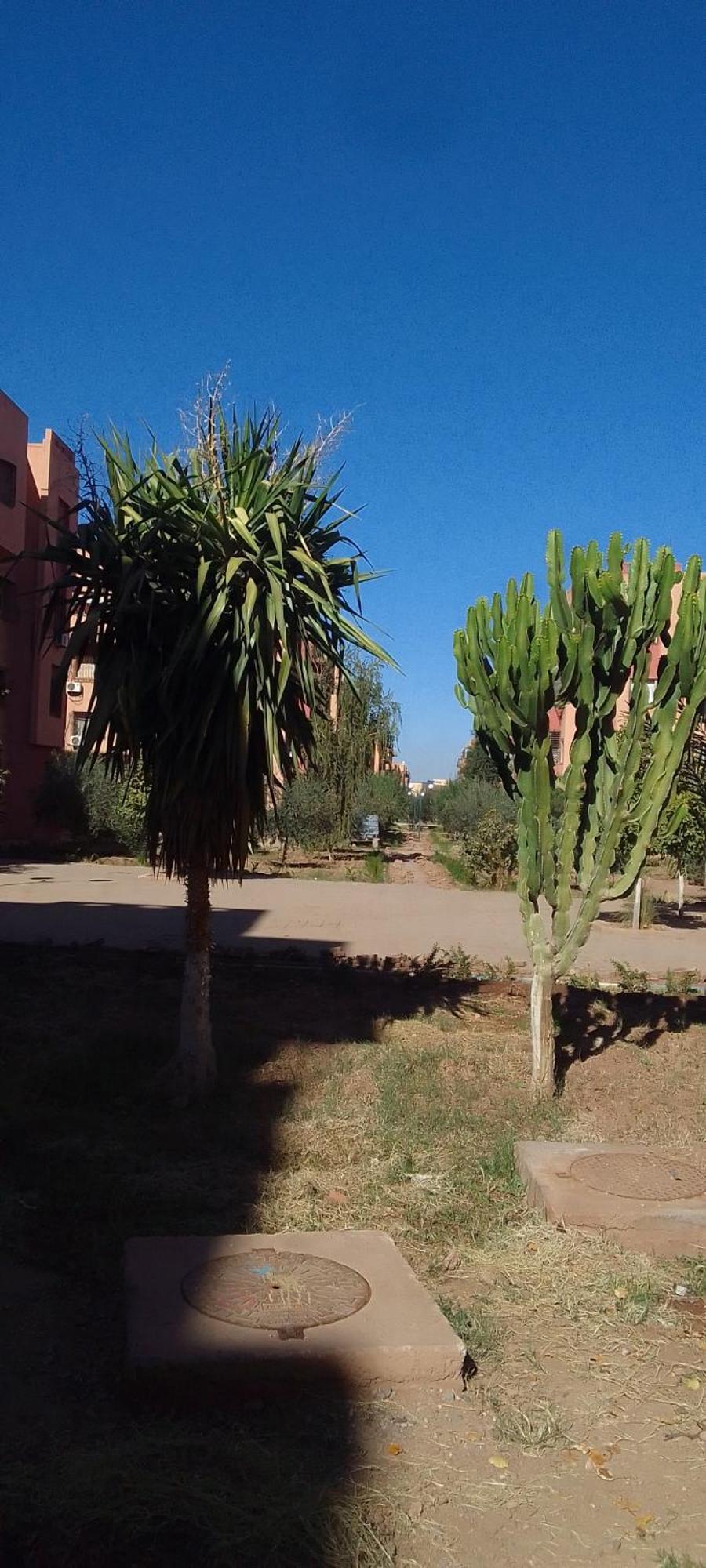 Apartamento Angel