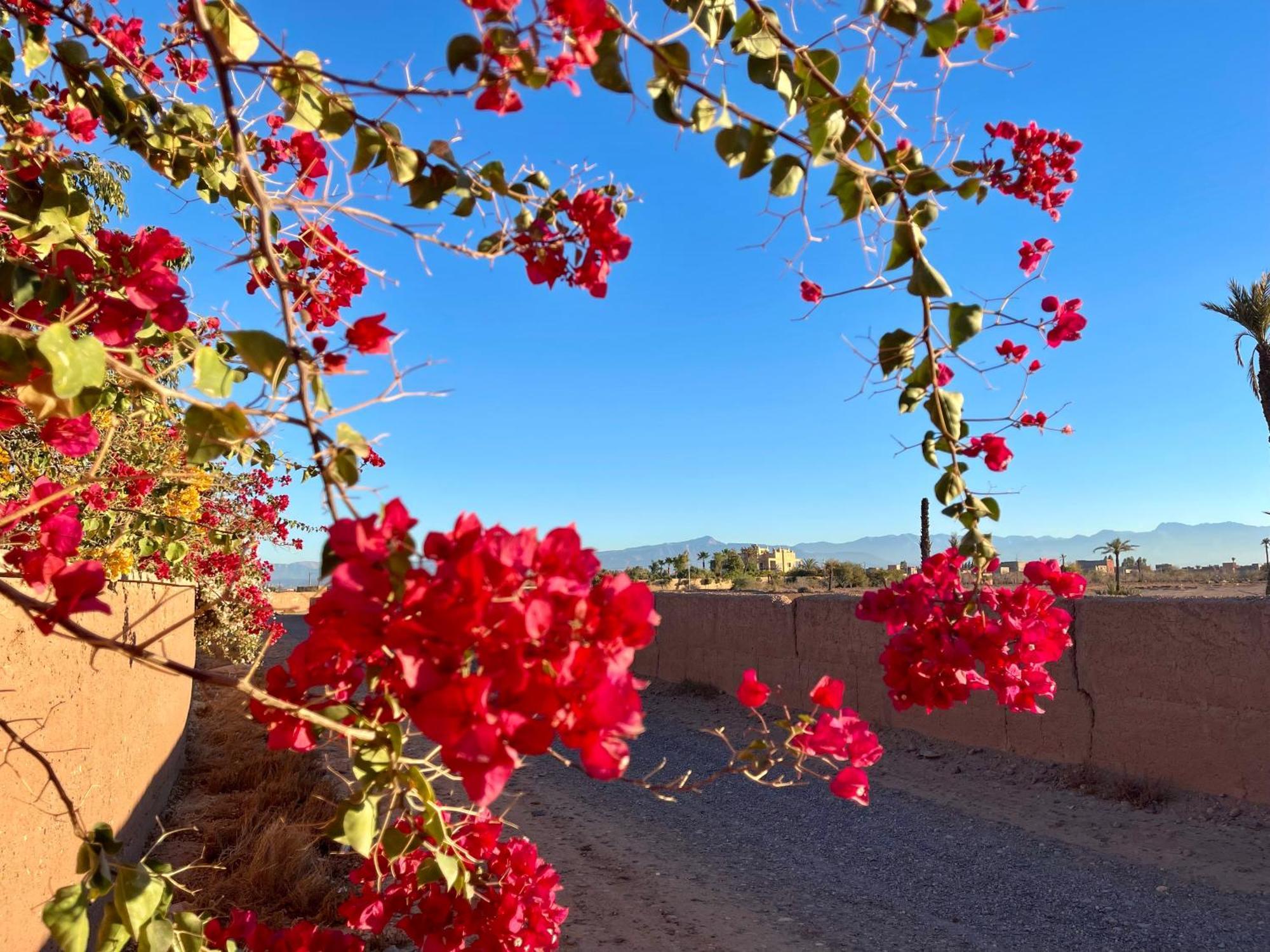Dar Hadjar Guest house Marrakesh