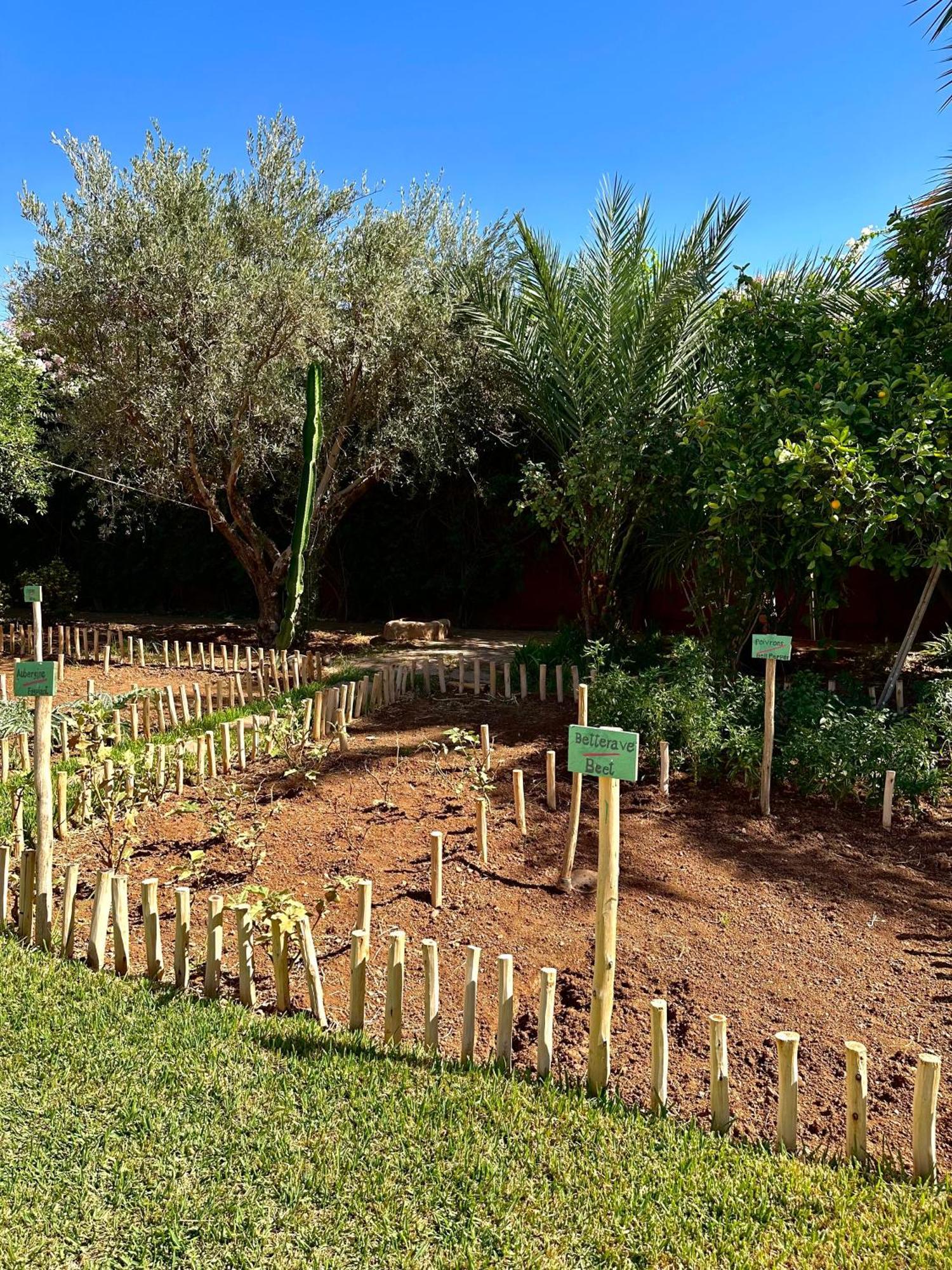 La Des Golfs & Pinkcactus Hotel 5*