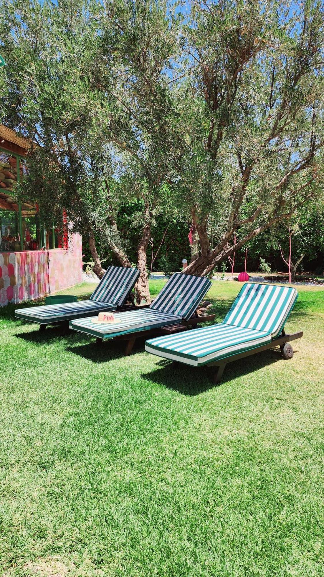 La Des Golfs & Pinkcactus 5*