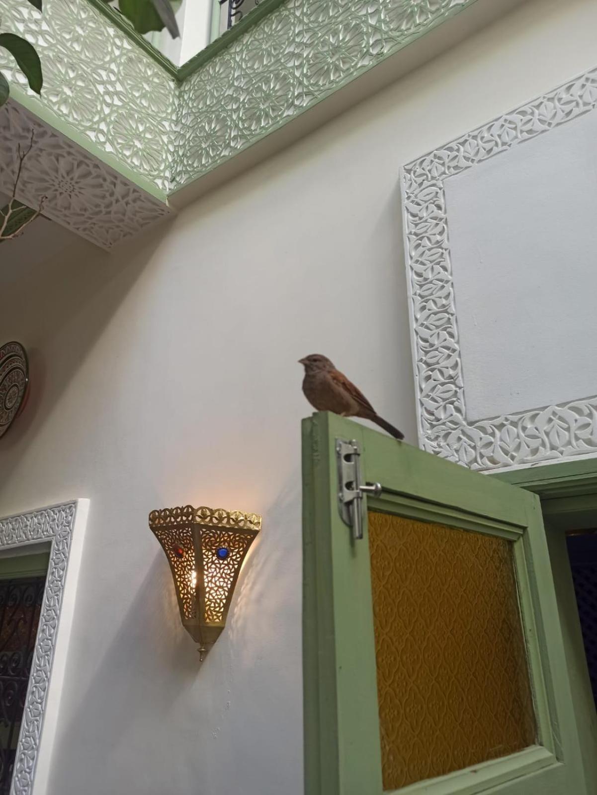 Med Agora * Marrakesh