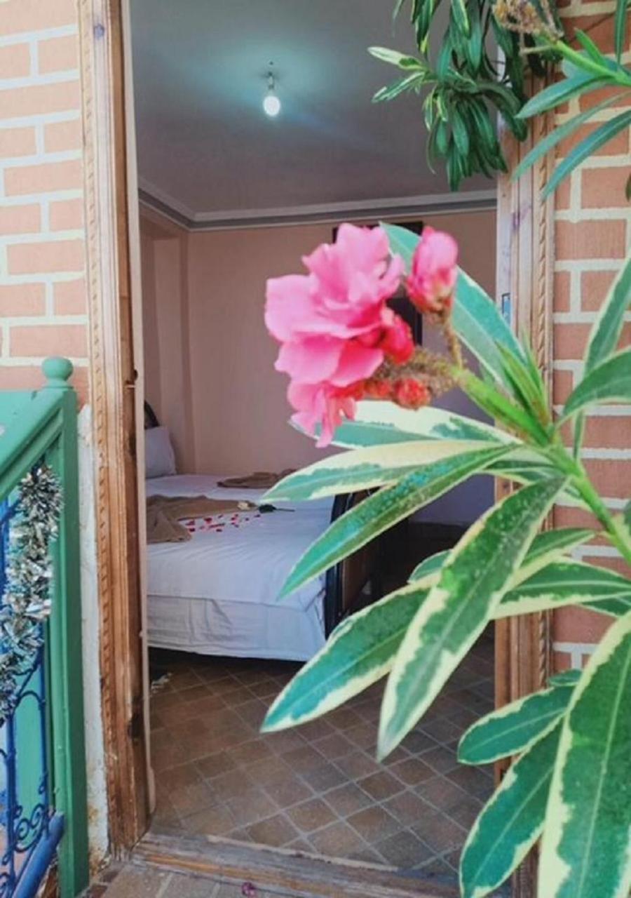 Guest house Riad Dar Wink Marrakesh