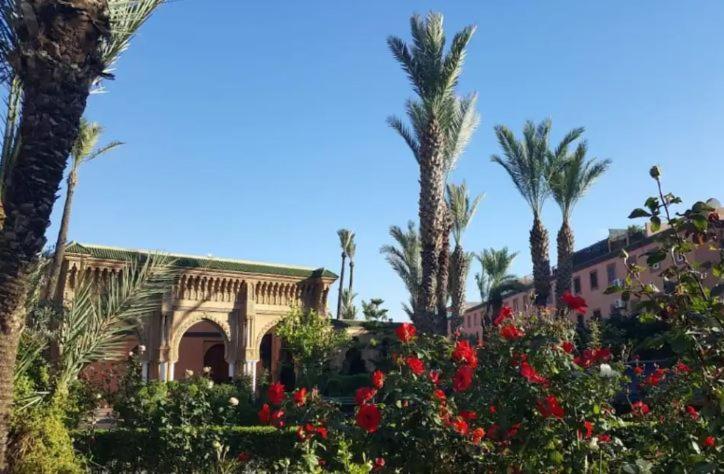 Quarya Assiyahia - Camilia Riad