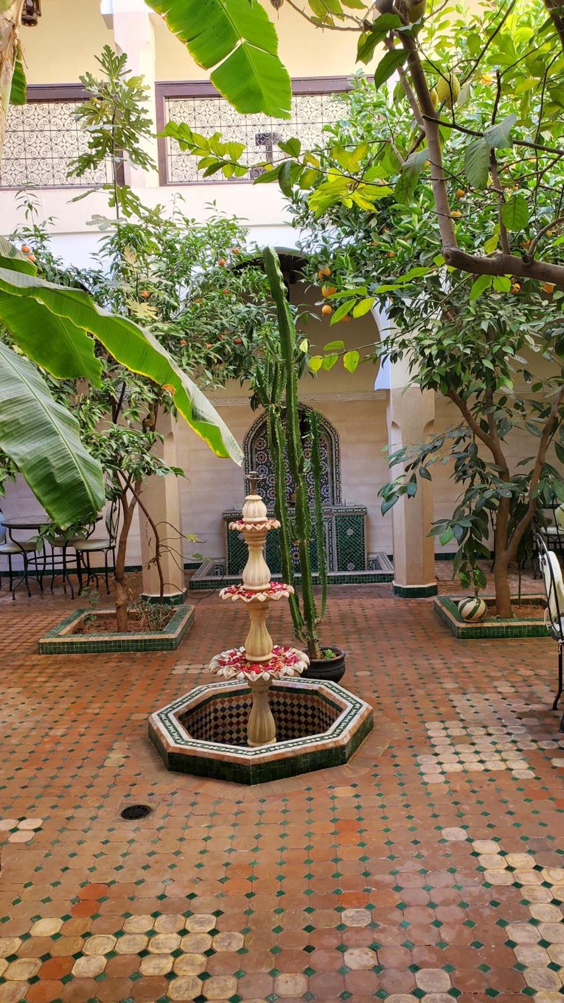Riad Riad Tidar By Phoenix