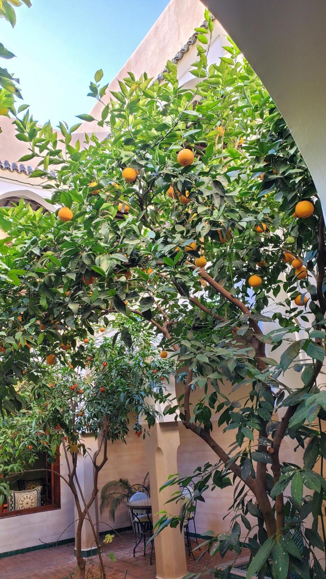 Riad Tidar By Phoenix Marrakesh