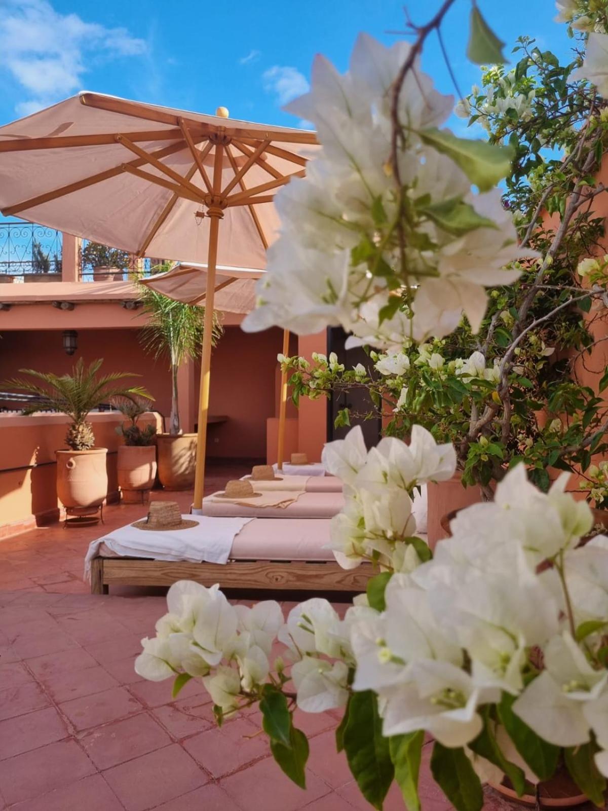 Riad El Gnaouia