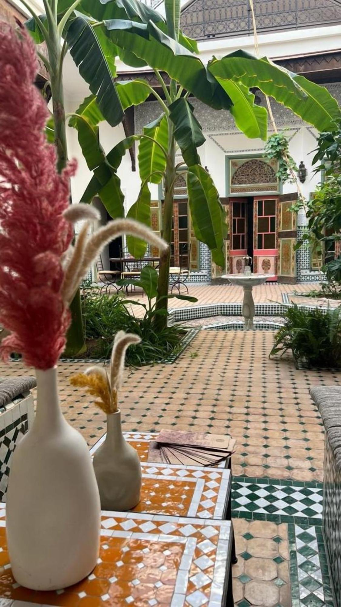 Afous Riad