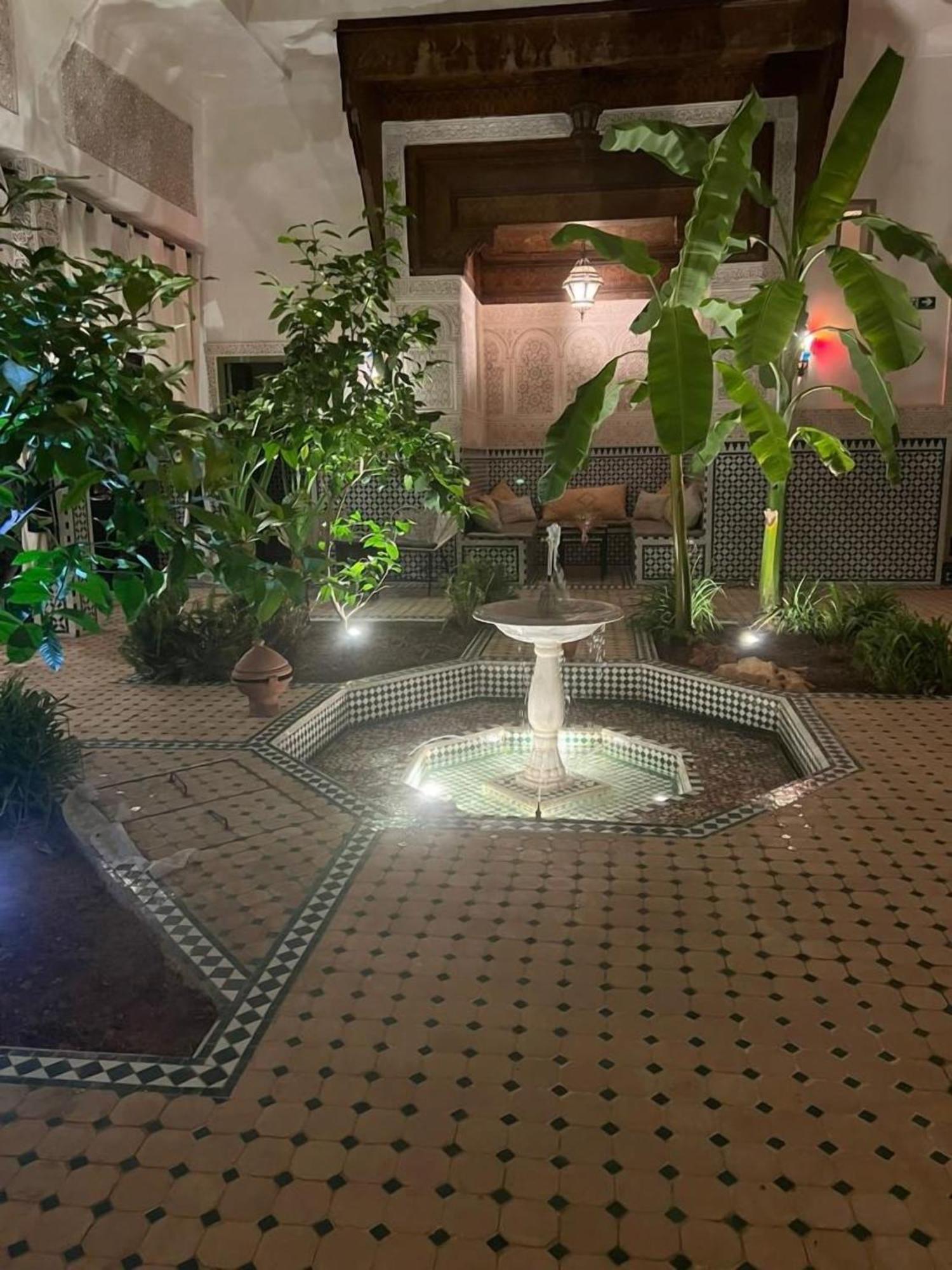 Afous Marrakesh