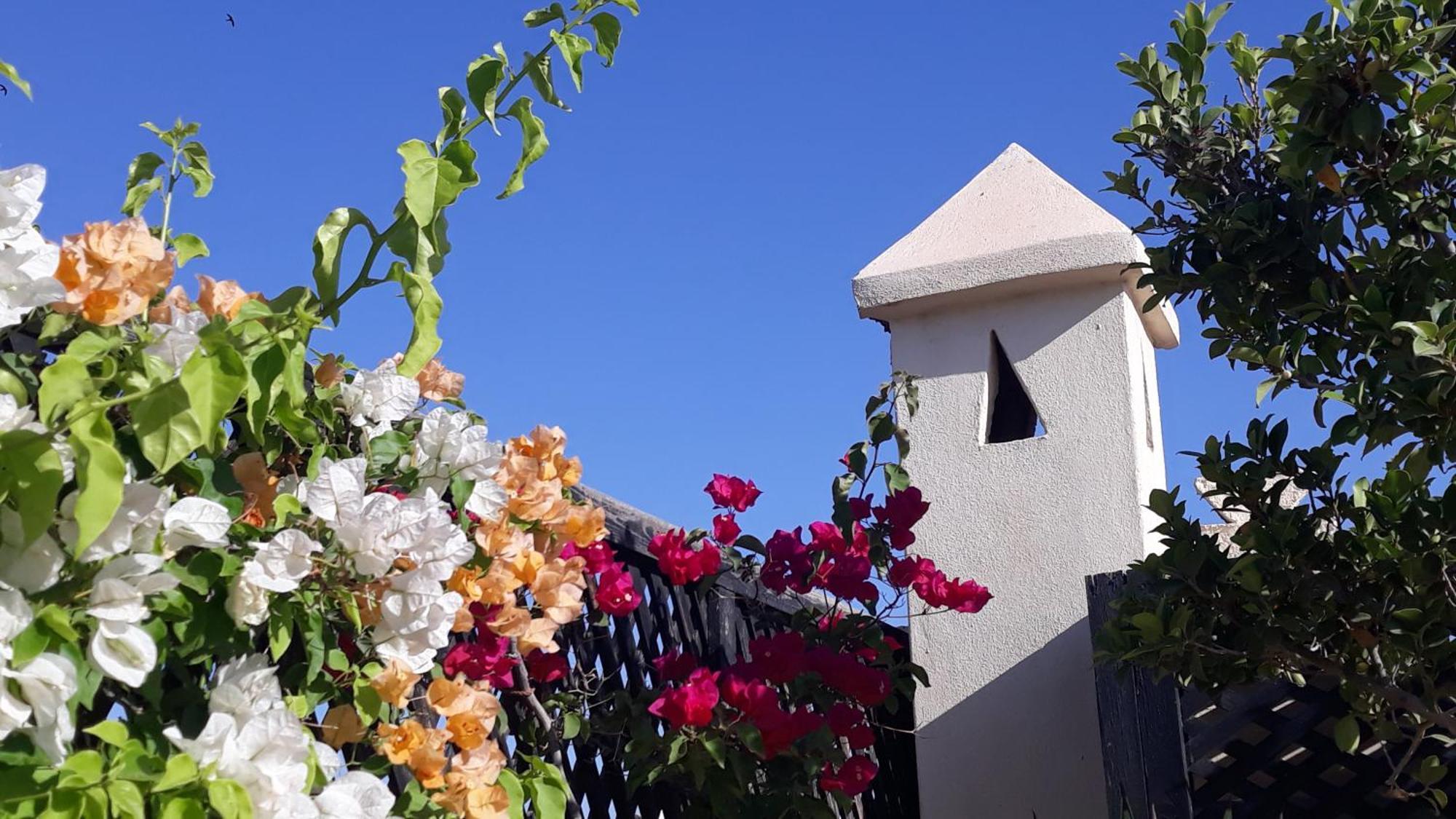 Riad Dar Zampa Marrakesh