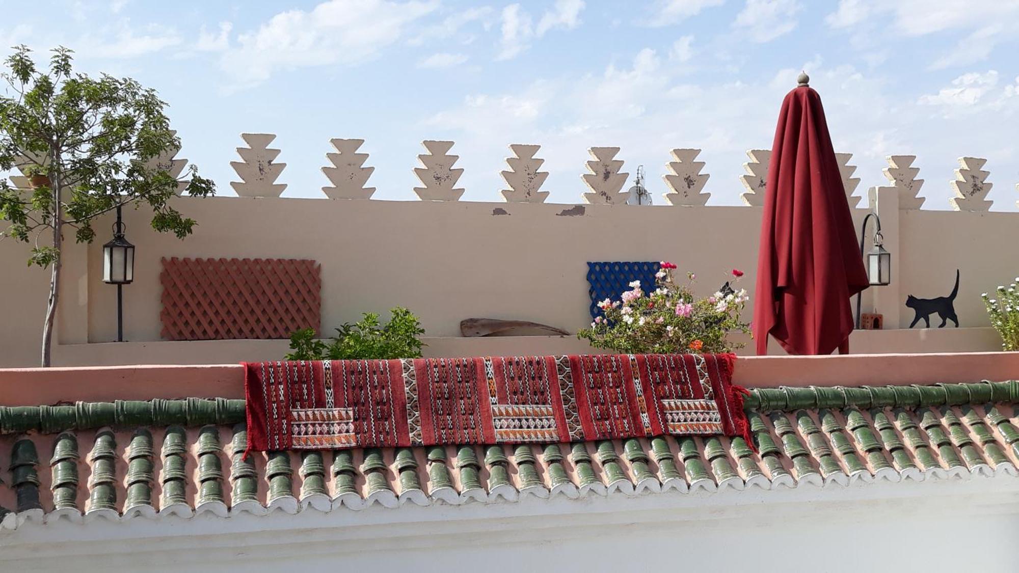 Dar Zampa 2*