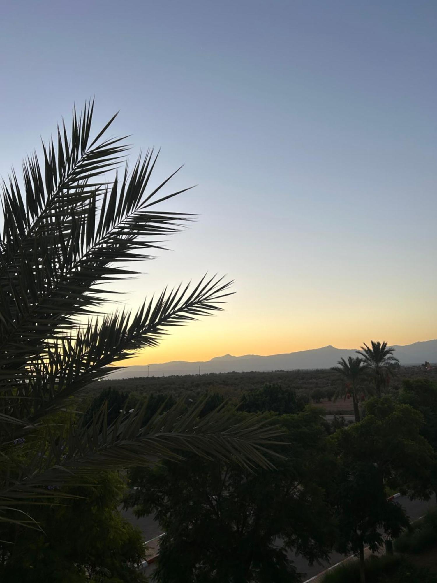 Palm View Apartamento *