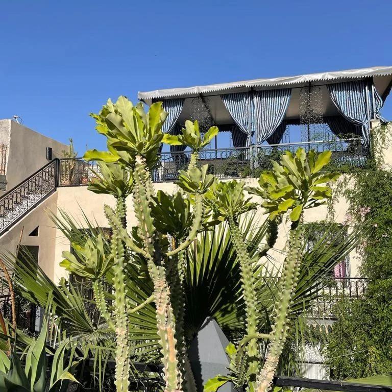 Riad Médina Hébergement de vacances *