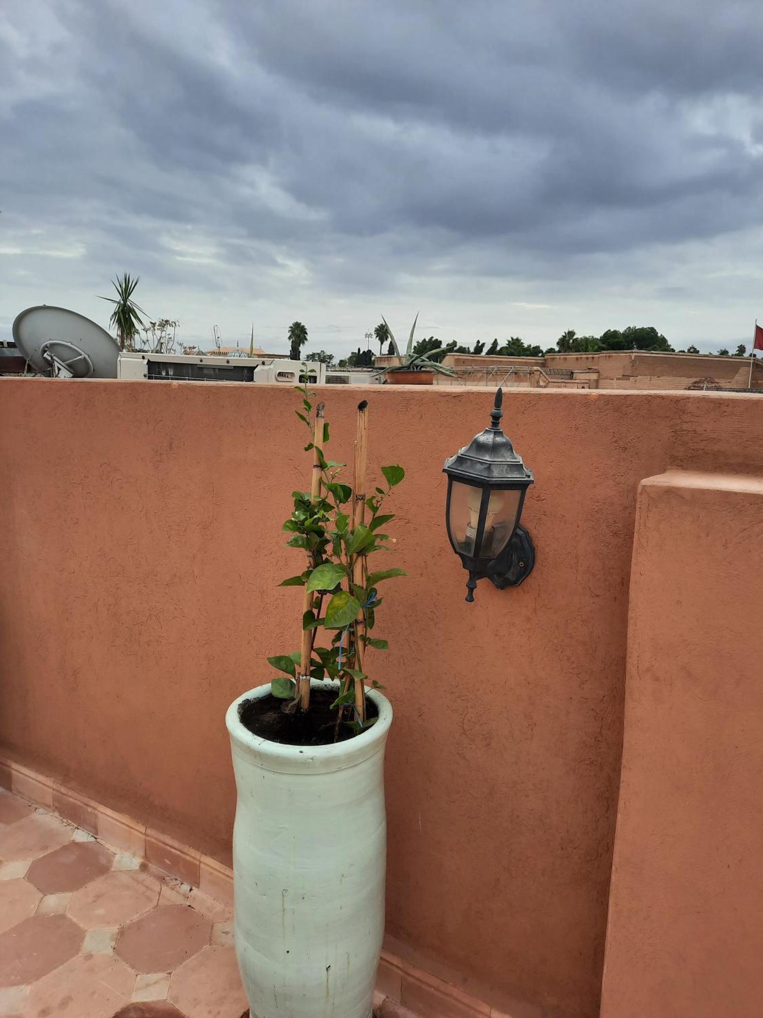Guest house Rayan