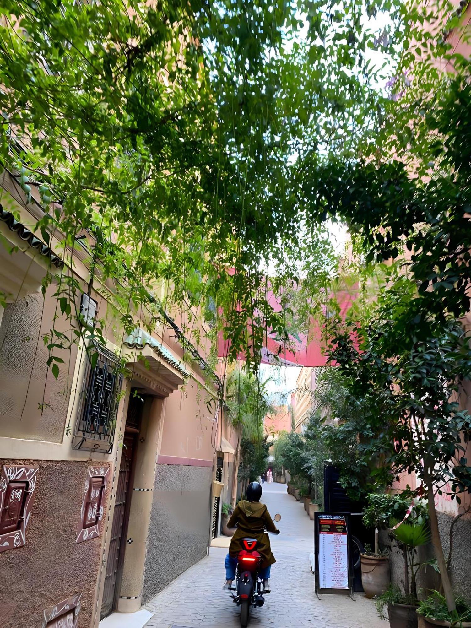 El Youssoufi Riad