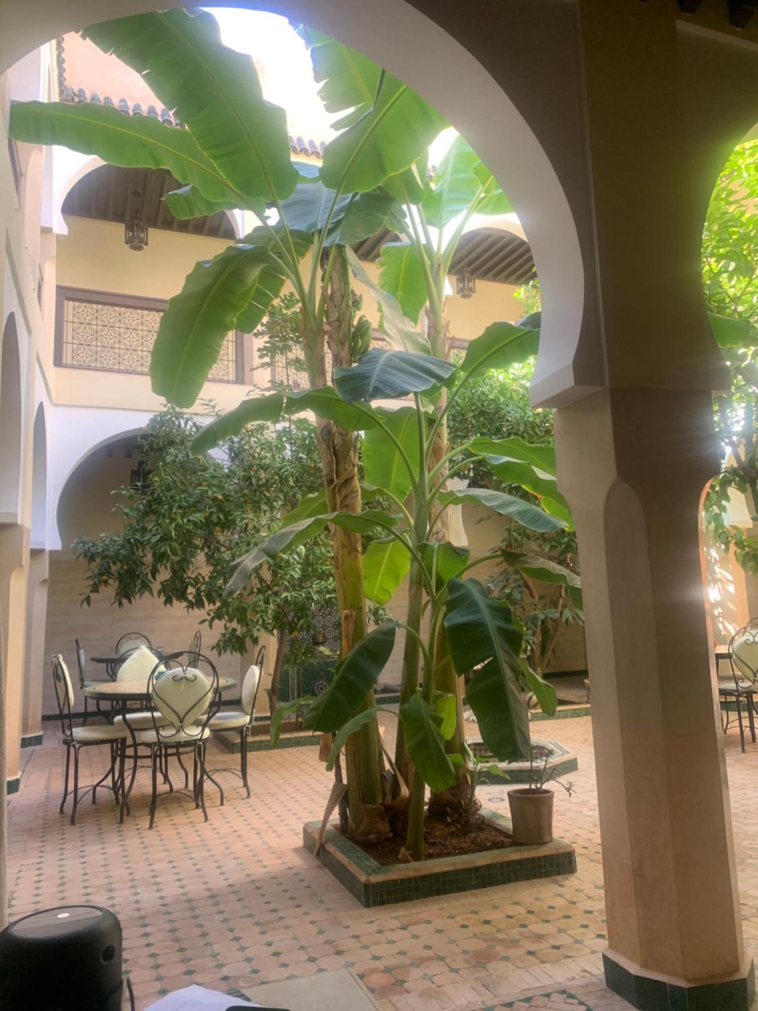 Riad Riad Tidar By Phoenix