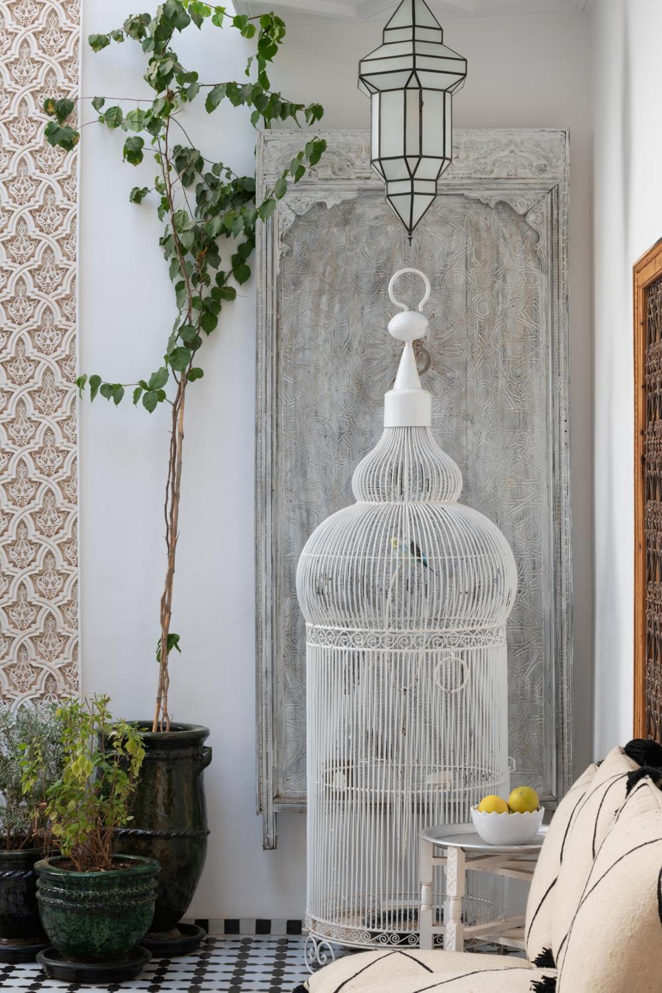 Botanica * Marrakesh