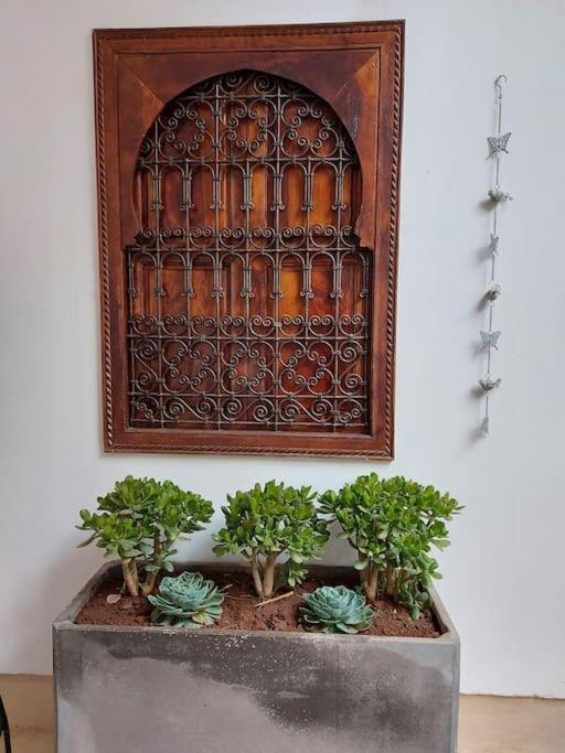 Sophora - Peaceful Heaven In Marrakech * Marrakesh