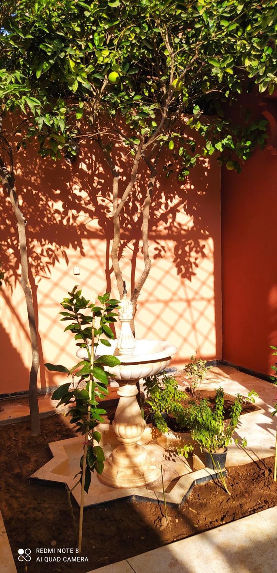 Guest house Le Petit Jardin Marrakech