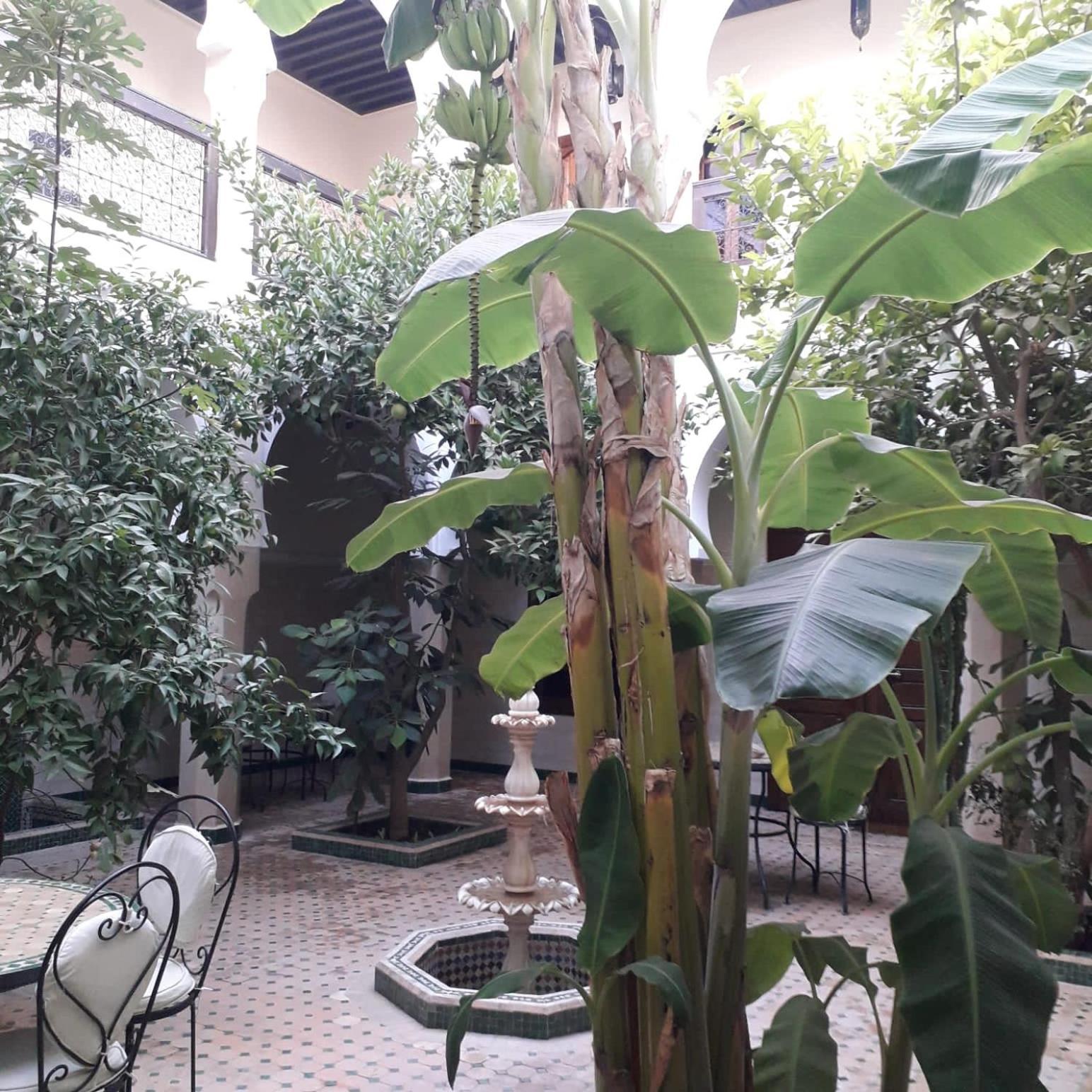 Riad Tidar By Phoenix Riad