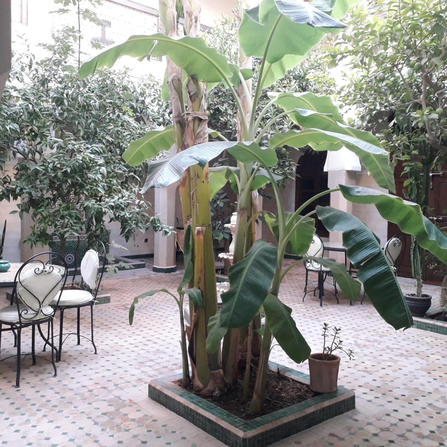 Riad Tidar By Phoenix Marrakesh
