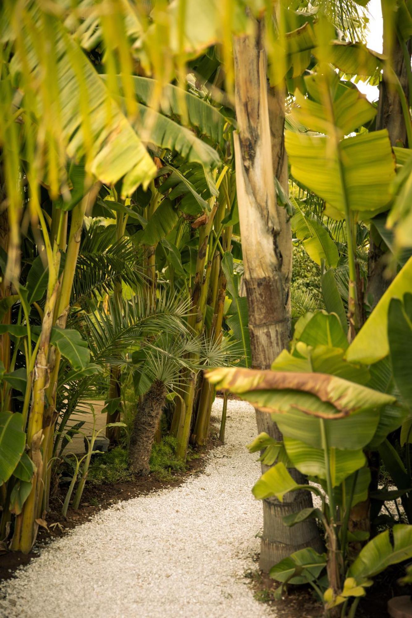 Les Palmiers Boutique & Hotel 5*