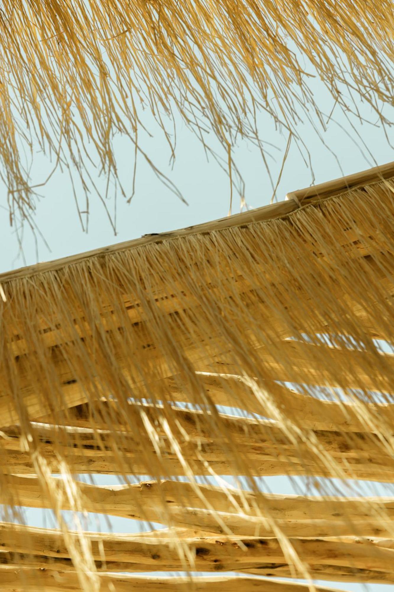 Les Palmiers Boutique & Hotel Marrakesh