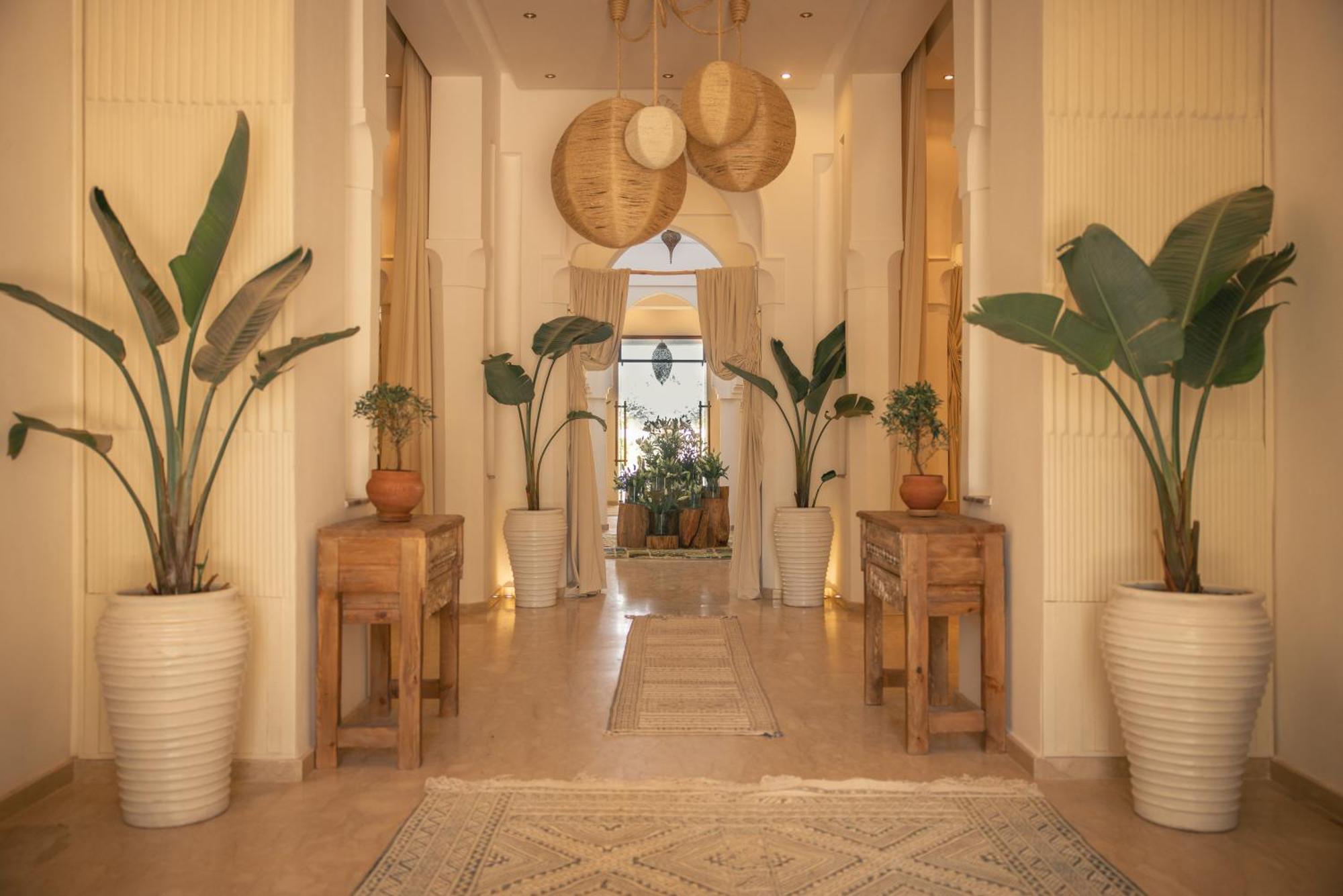 Hotel Les Palmiers Boutique &