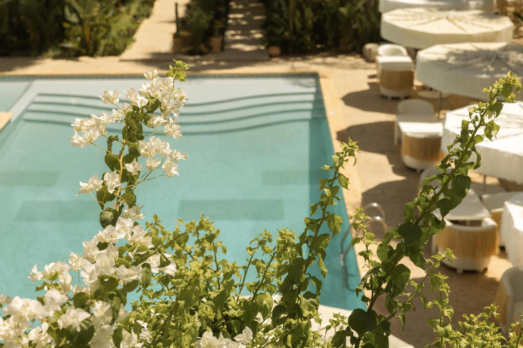 Les Palmiers Boutique & Hotel