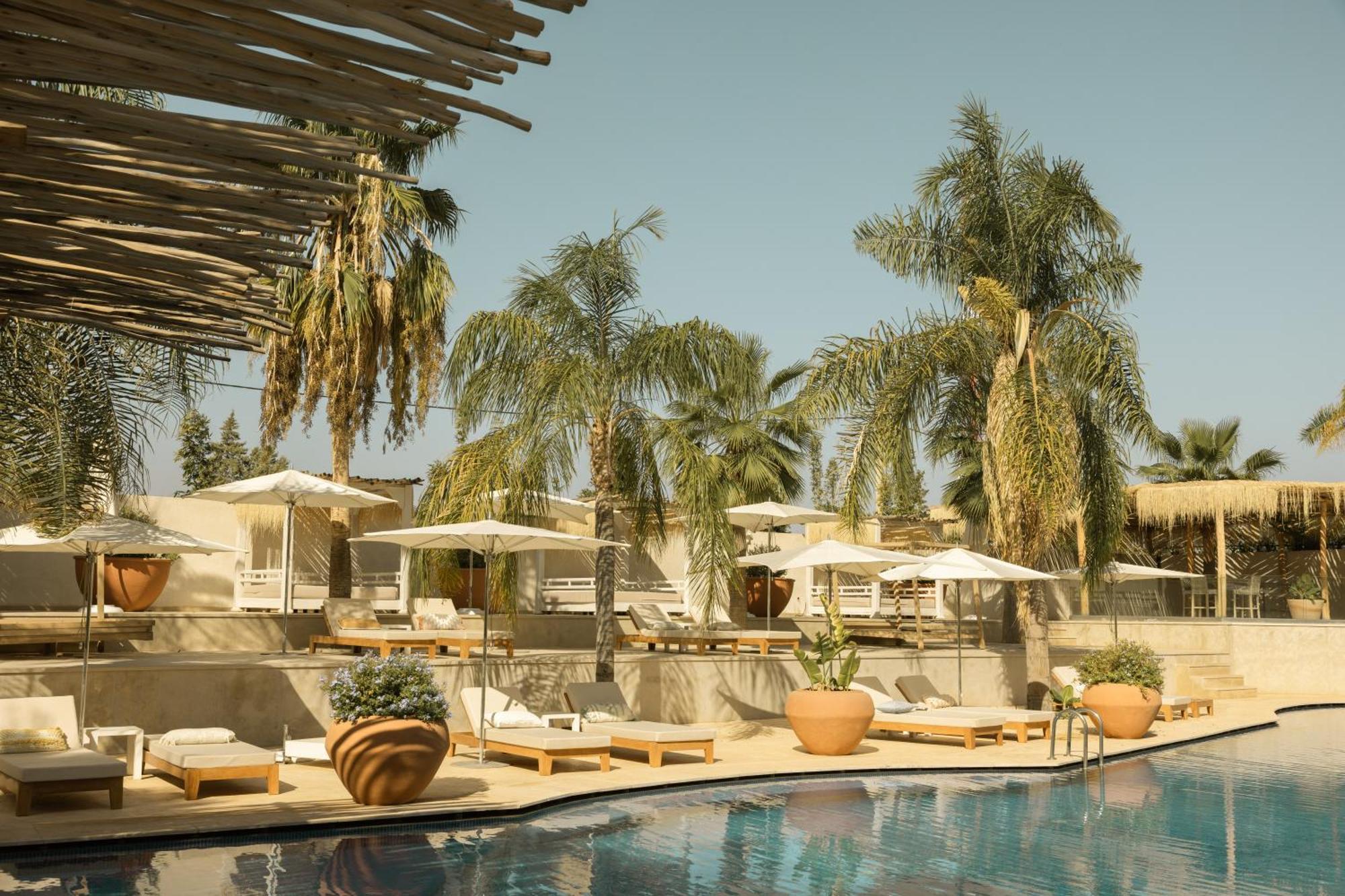 Hotel Les Palmiers Boutique &