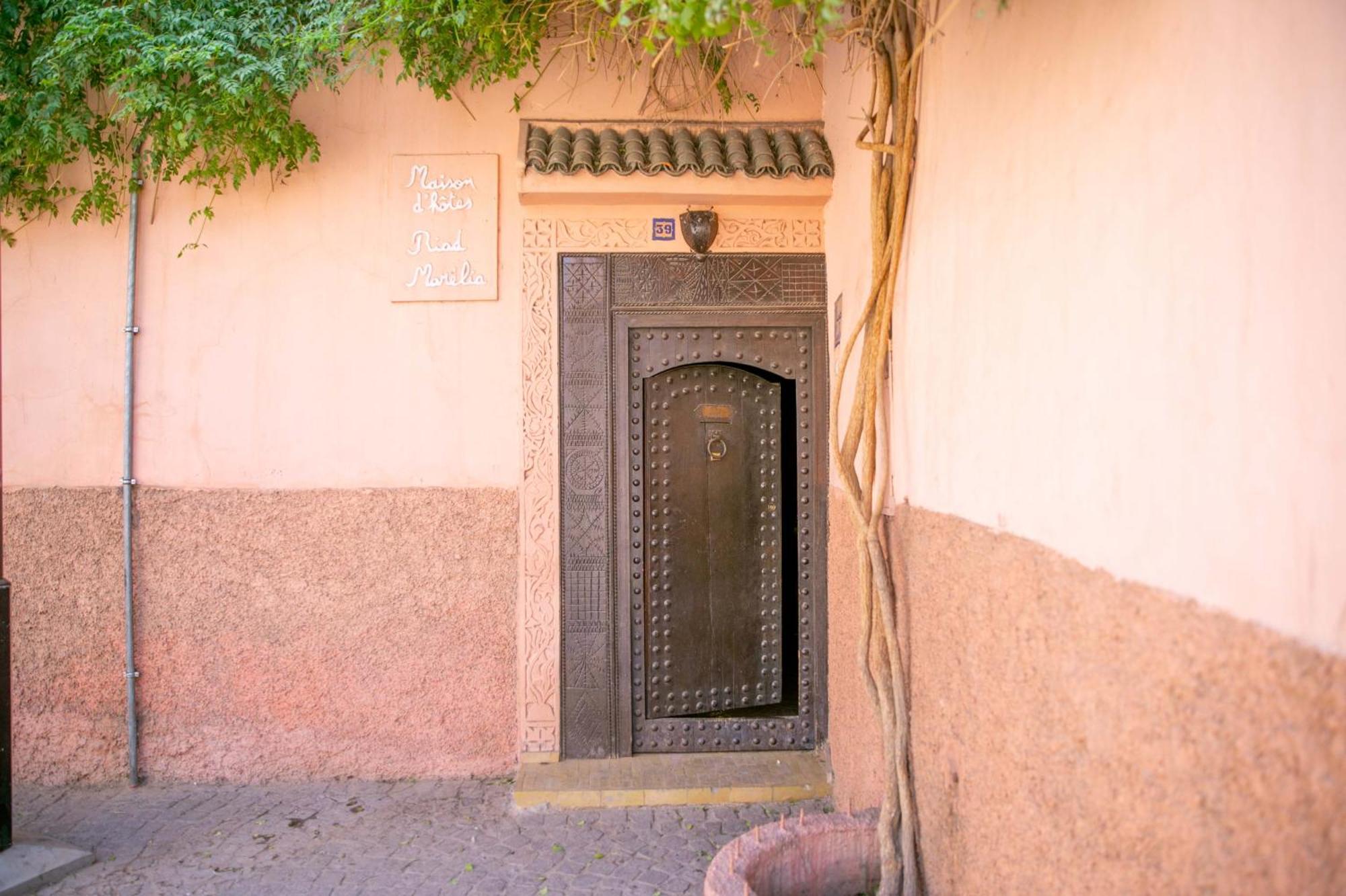 Marelia Marrakesh