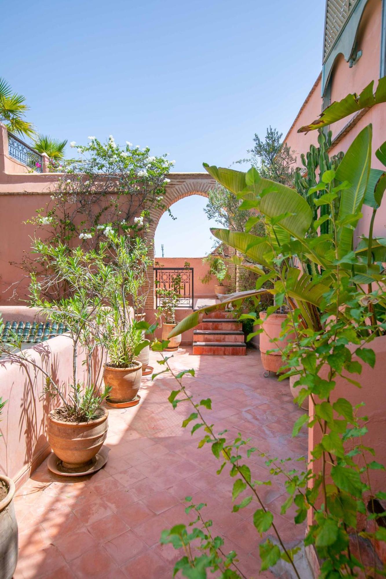 Marelia Riad 3*