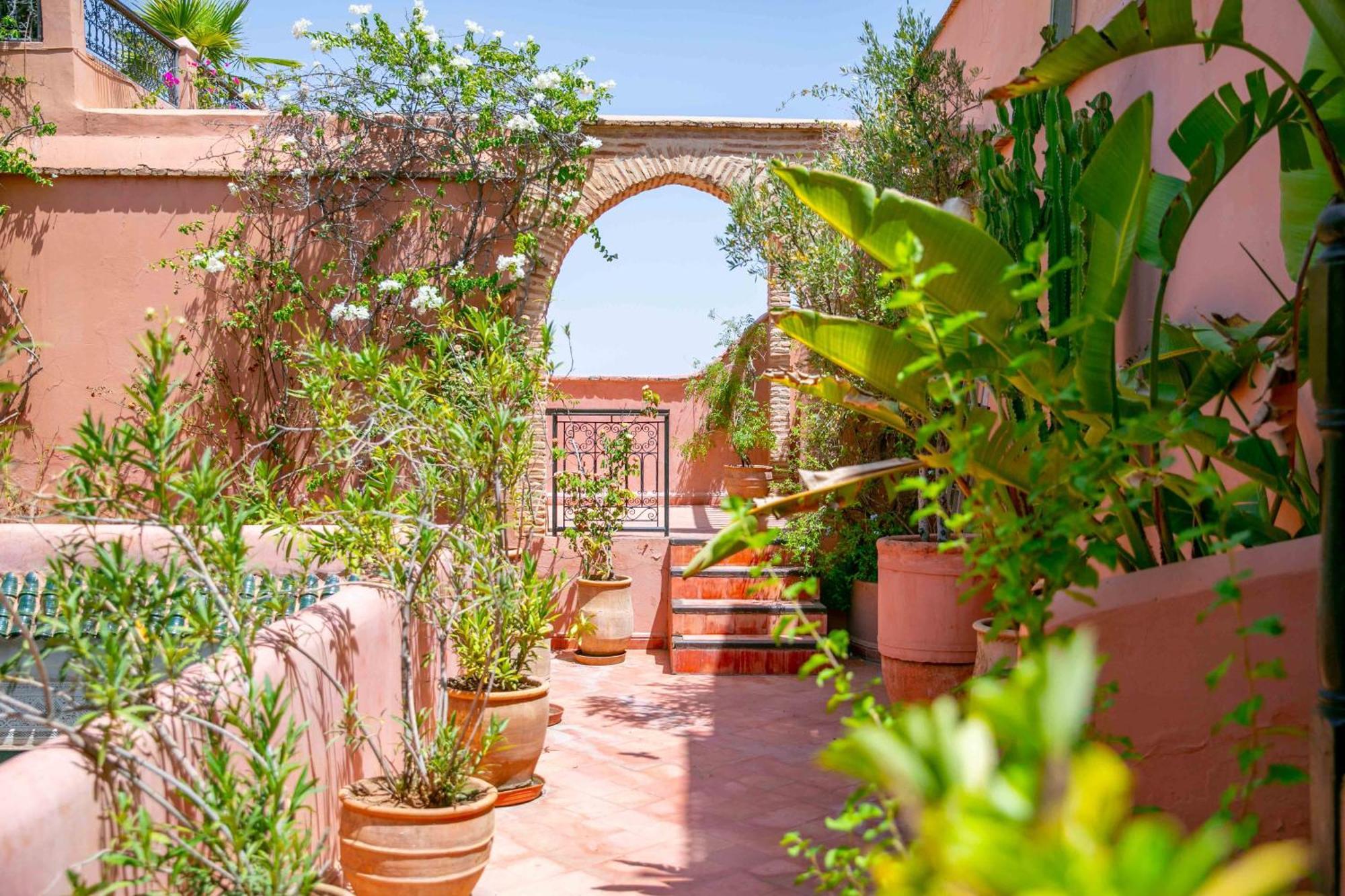 Riad Marelia