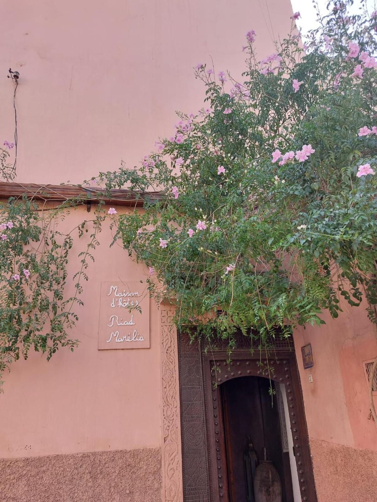 Marélia Riad Marrakesh