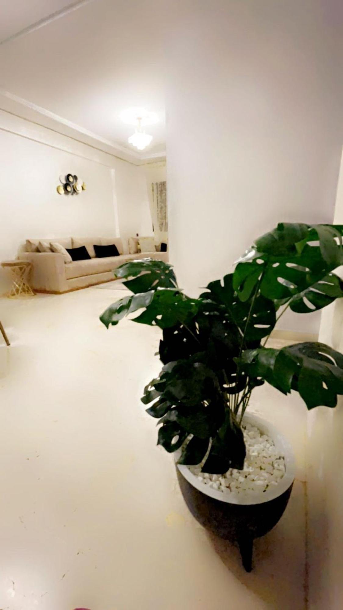 Guéliz L’hivernage Nour5 Appartement *