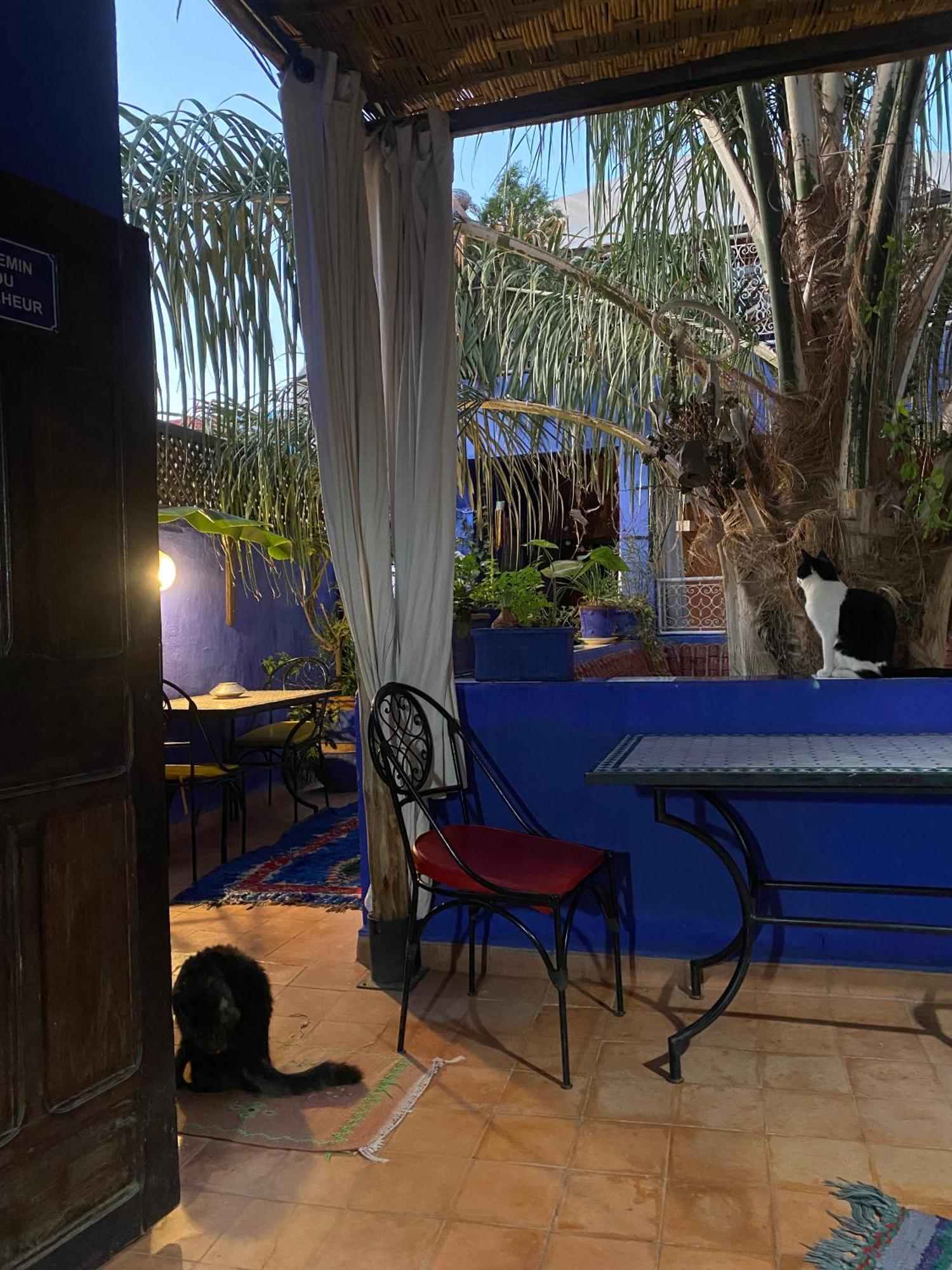 Alamine Marrakesh